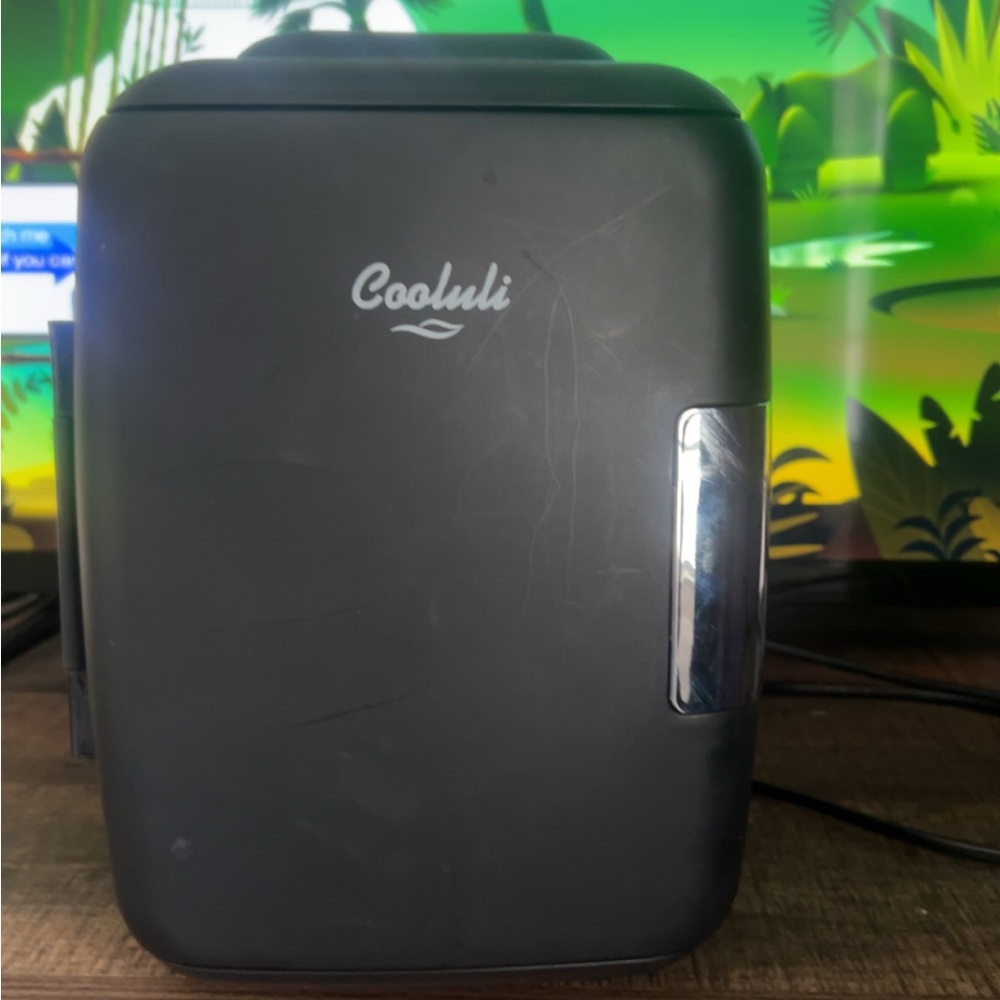 Black Portable Mini Fridge